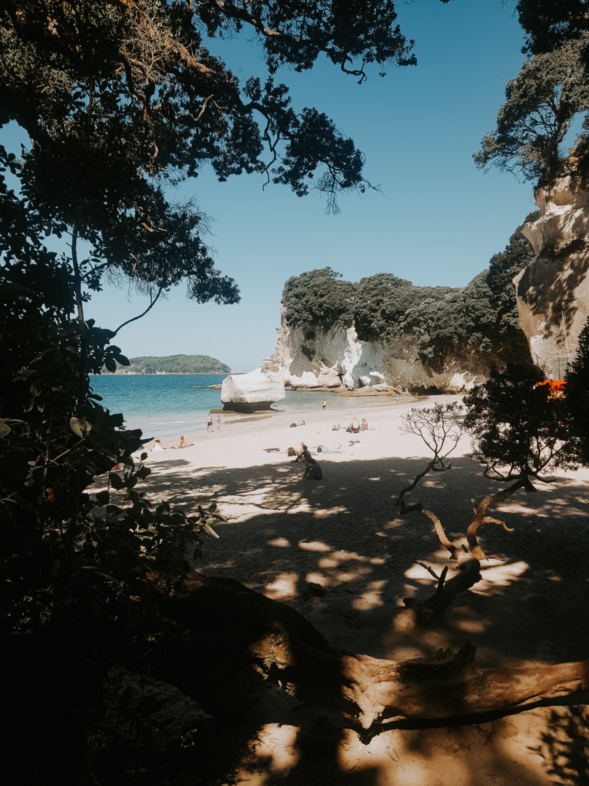 Bay of Cathedral Cove in Coromandel Peninsula