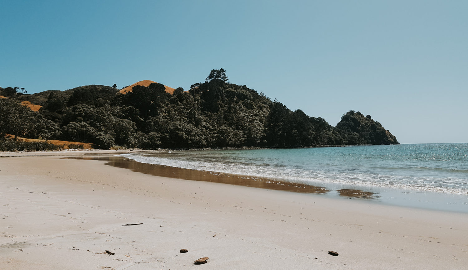 New Zealand's beach