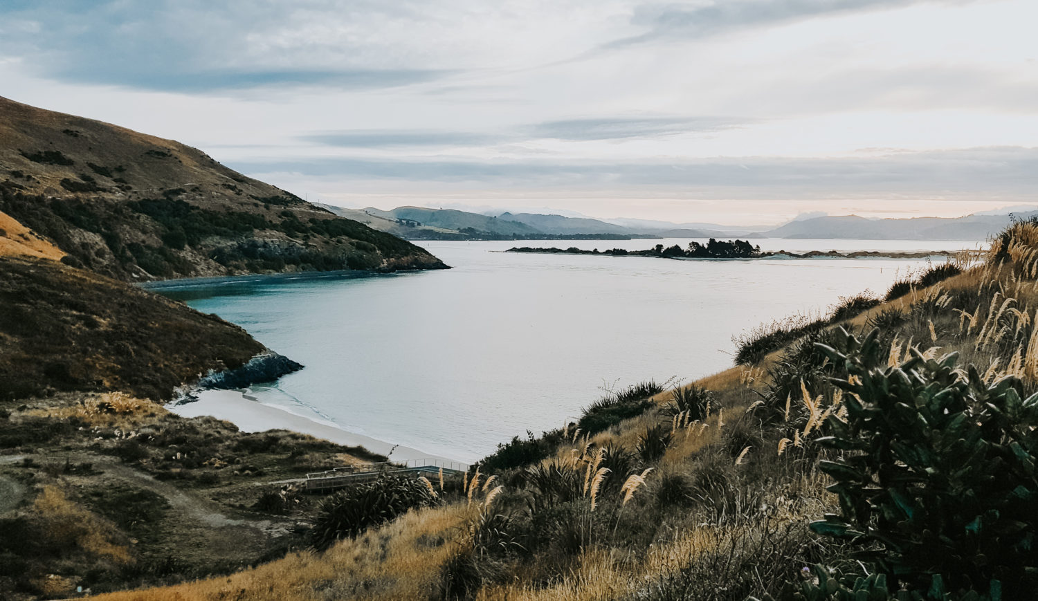 The endless sea view in Taiaroa Head