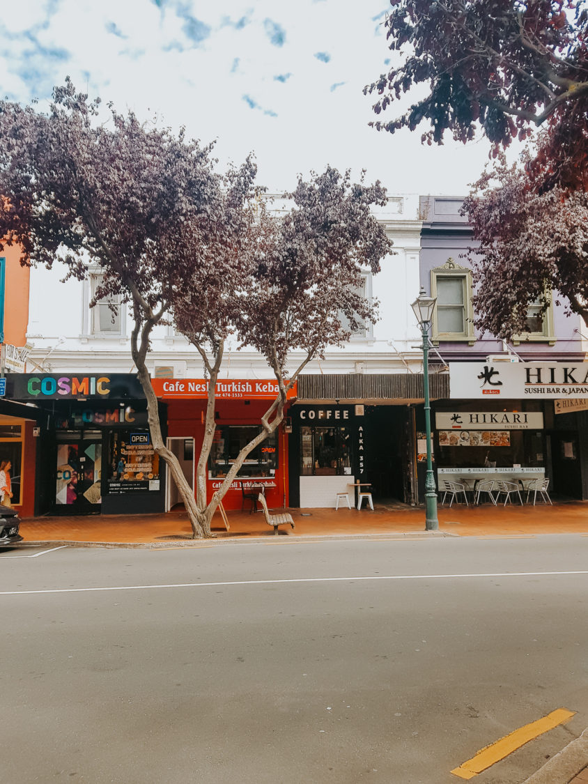 Street in Downtown Dunedin