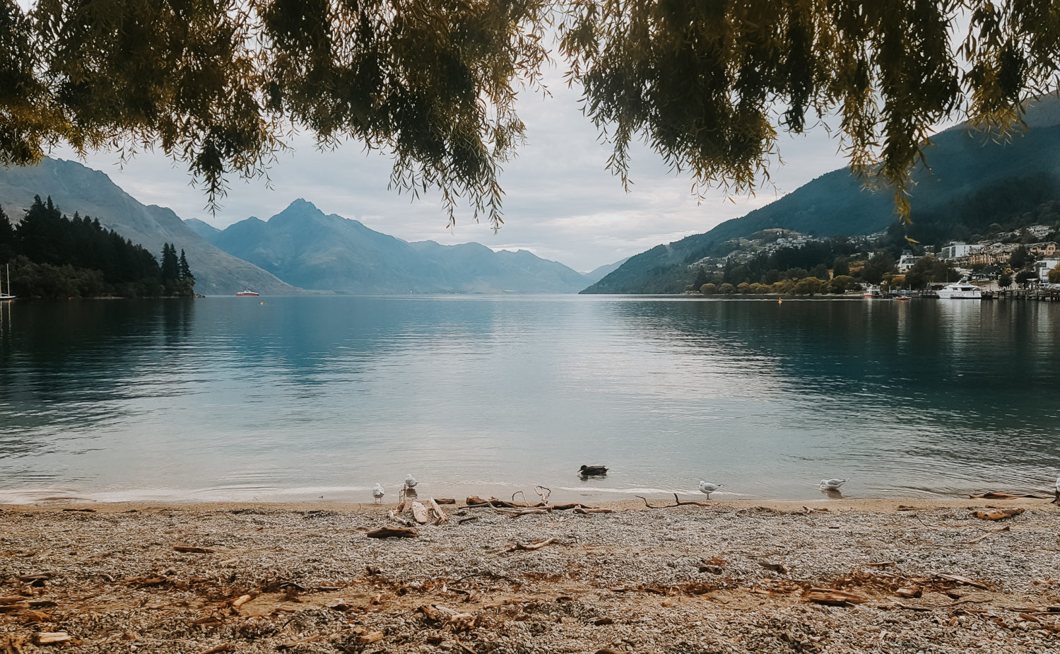 Wanaka Lake in New Zealand