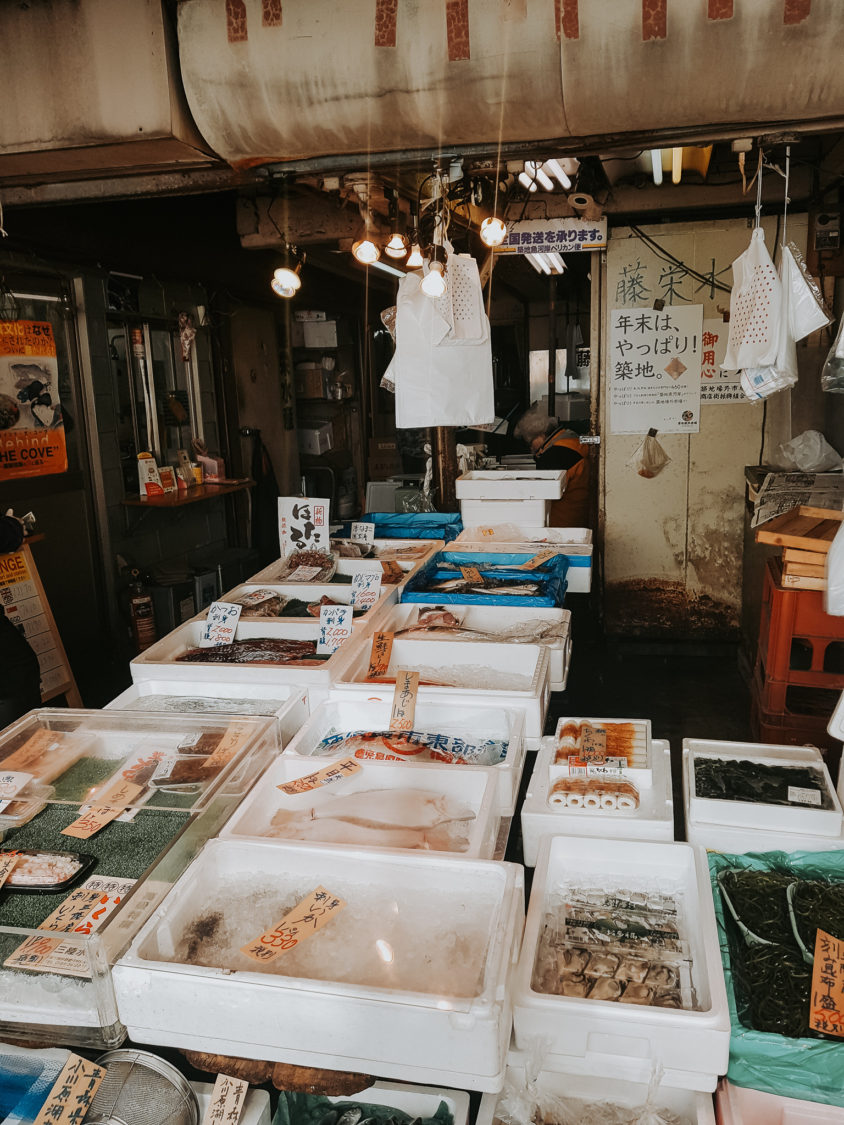 Fresh fish in Tsukiji Fish Market