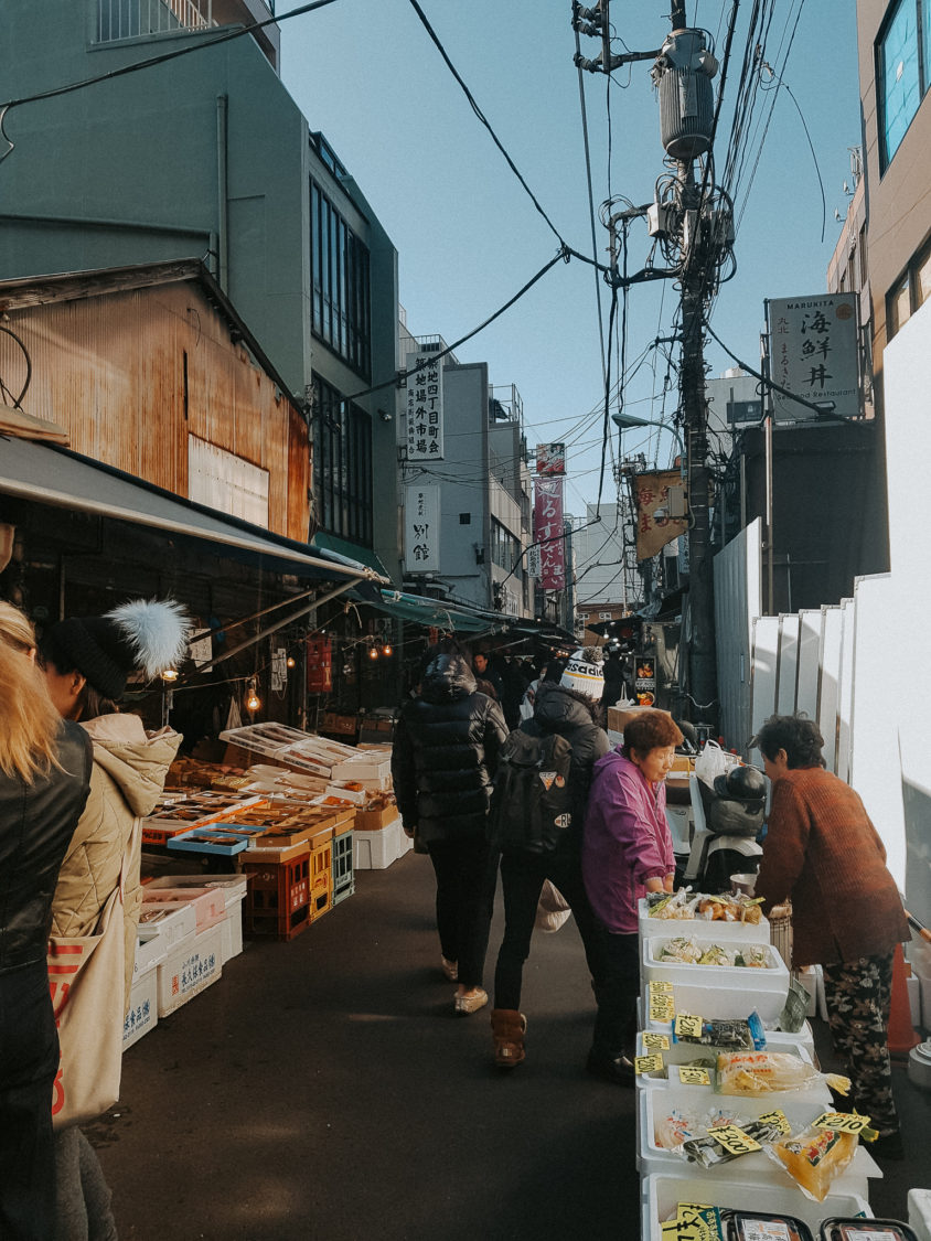 Tsukiji Fish Market 1